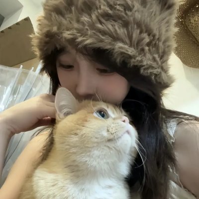 猪猪侠