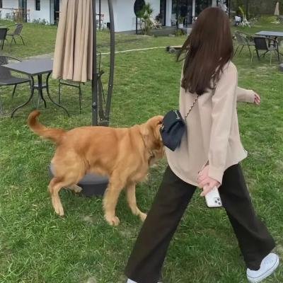 骑单车的人